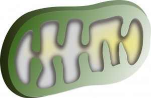 lgi01a201411031600
