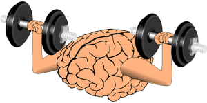 brain-1295128_640